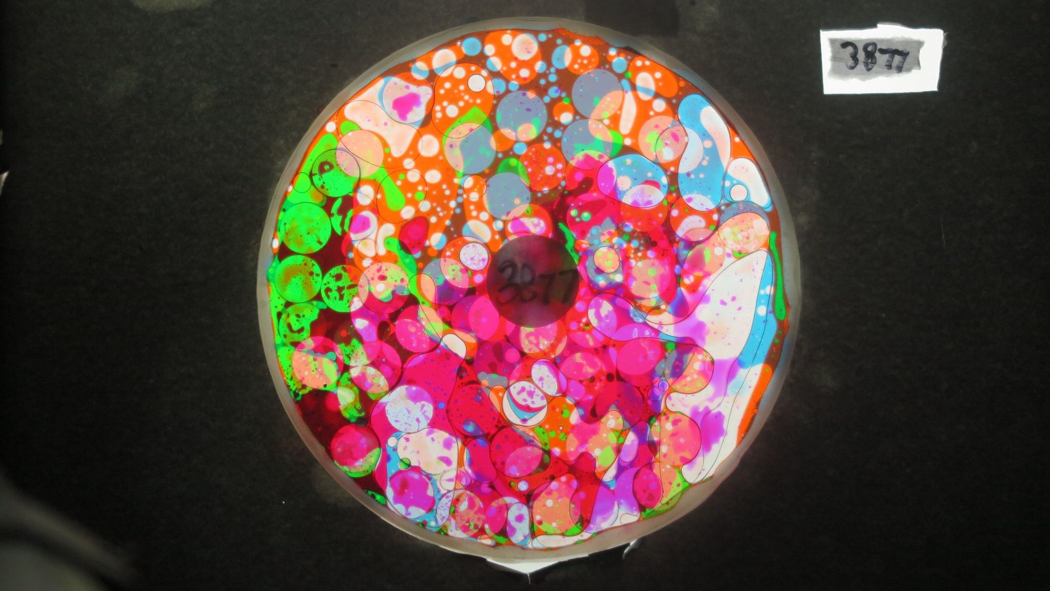 BV3877 bubble vision oil wheel